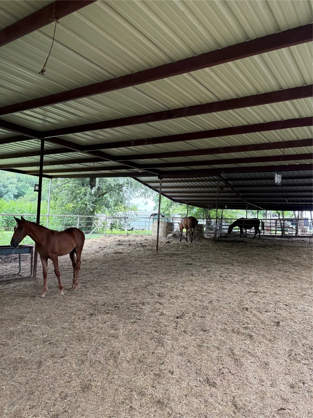 Palmyra Road Palmer, TX 75152