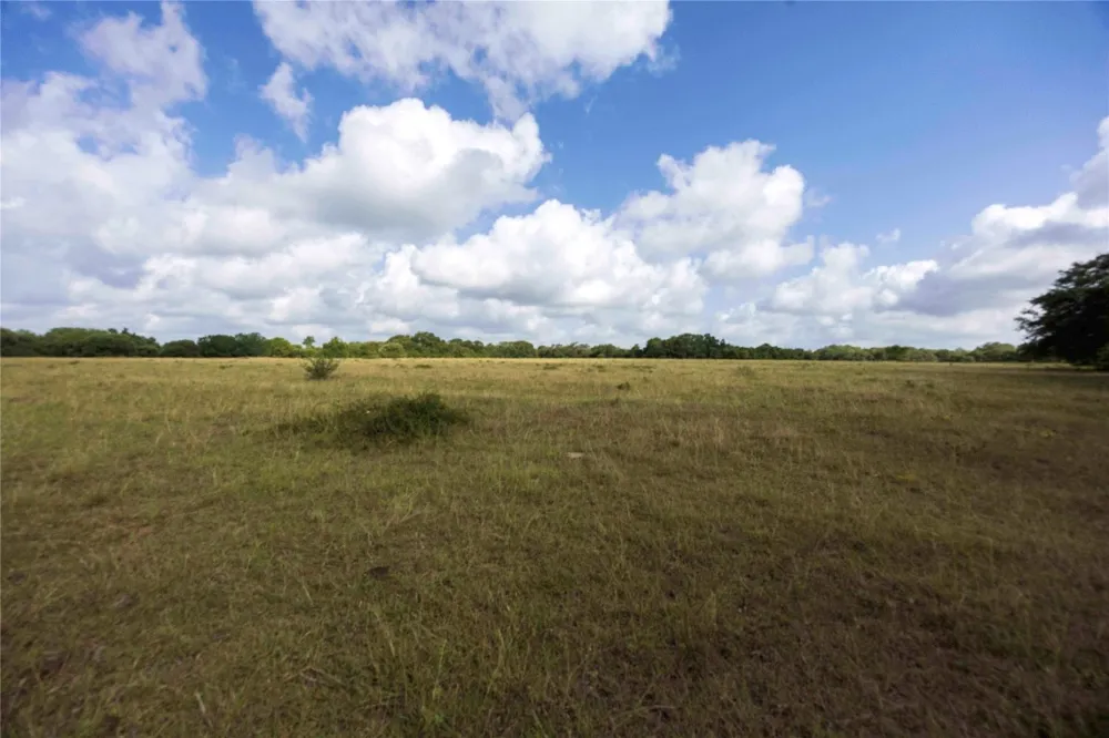 Stryk Road Flatonia, TX 78941