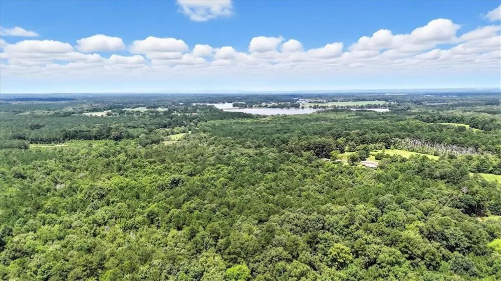 0 George Road Cave Spring, GA 30124