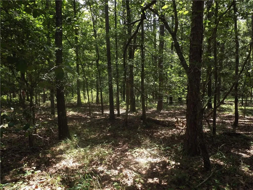 0 George Road Cave Spring, GA 30124
