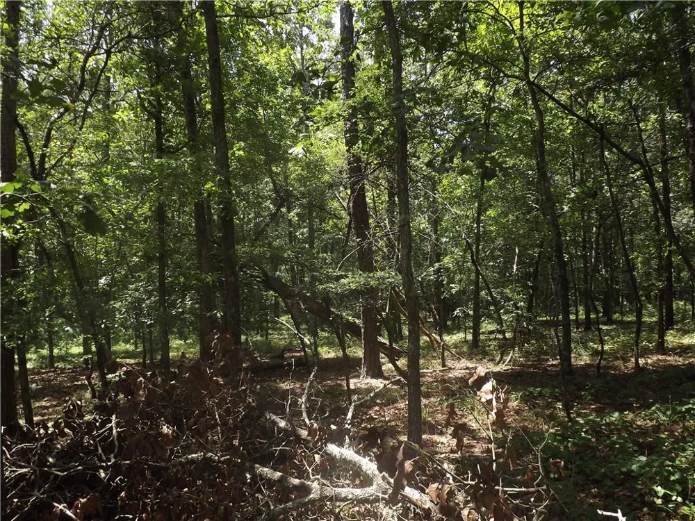 0 George Road Cave Spring, GA 30124