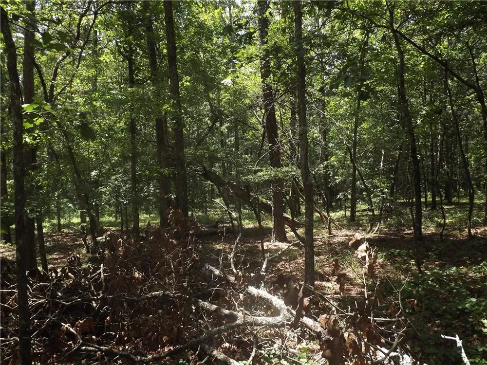 0 George Road Cave Spring, GA 30124