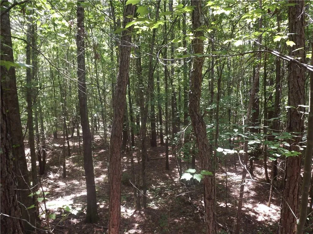 0 George Road Cave Spring, GA 30124