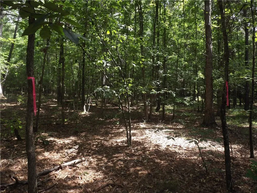 0 George Road Cave Spring, GA 30124