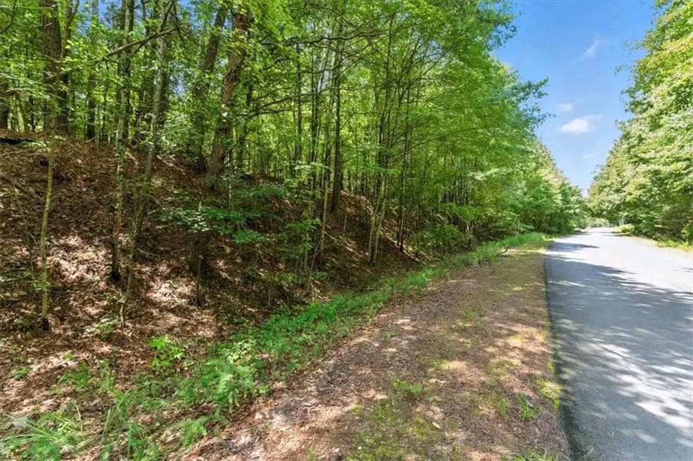 0 George Road Cave Spring, GA 30124