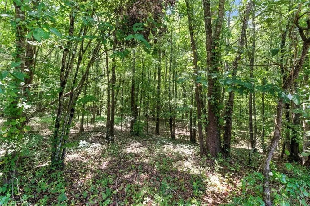 0 George Road Cave Spring, GA 30124