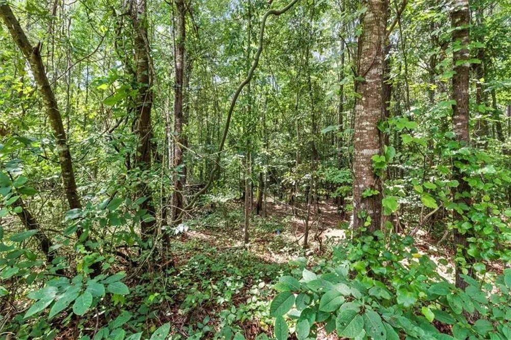 0 George Road Cave Spring, GA 30124