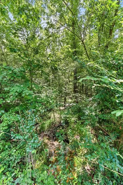 0 George Road Cave Spring, GA 30124