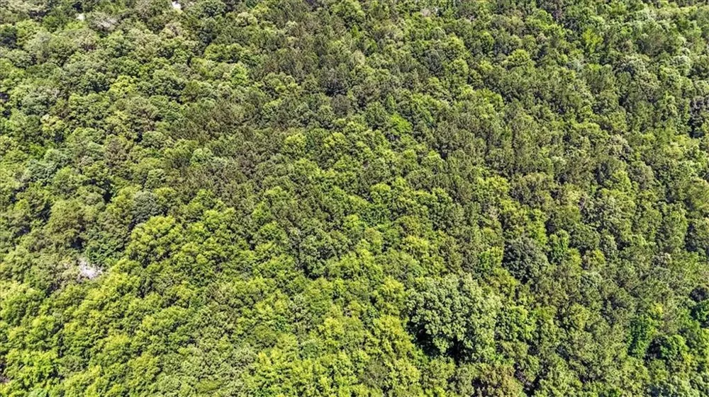 0 George Road Cave Spring, GA 30124