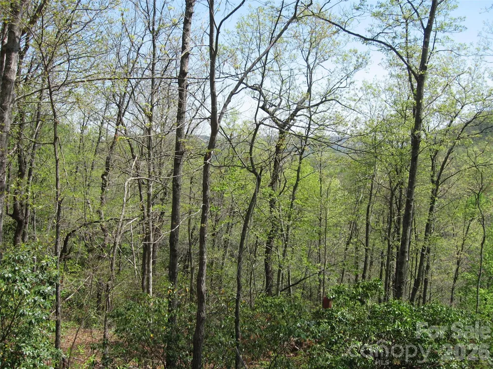 313 Line Runner Ridge Road Rosman, NC 28772