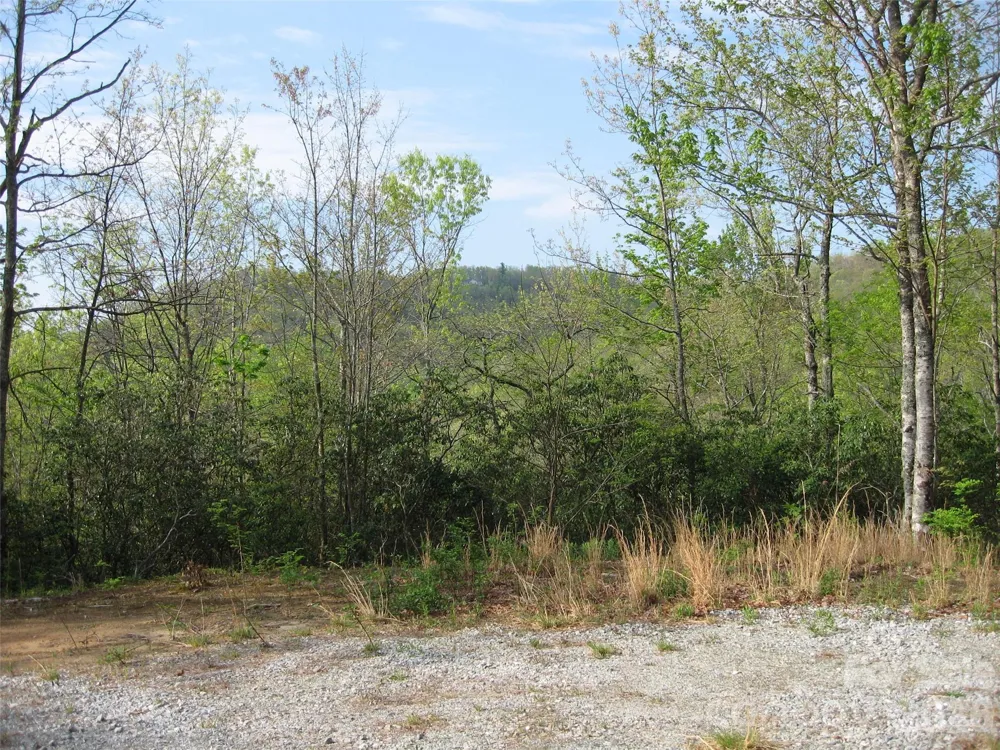 313 Line Runner Ridge Road Rosman, NC 28772
