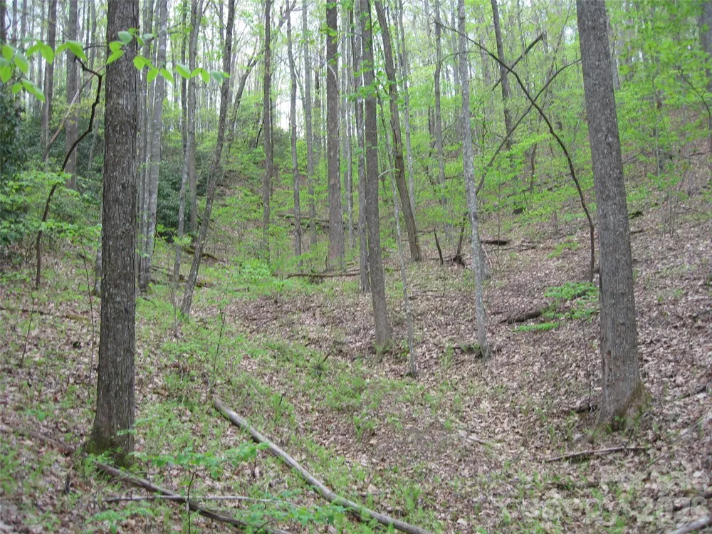 313 Line Runner Ridge Road Rosman, NC 28772