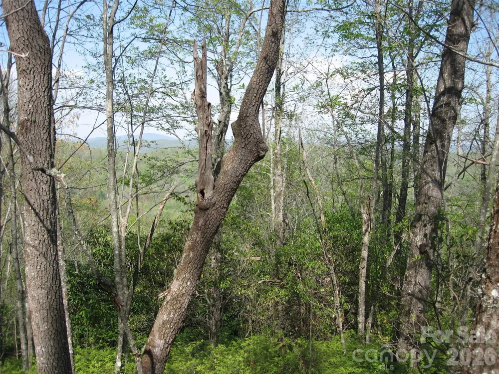 313 Line Runner Ridge Road Rosman, NC 28772