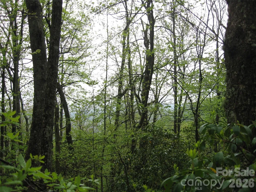 313 Line Runner Ridge Road Rosman, NC 28772