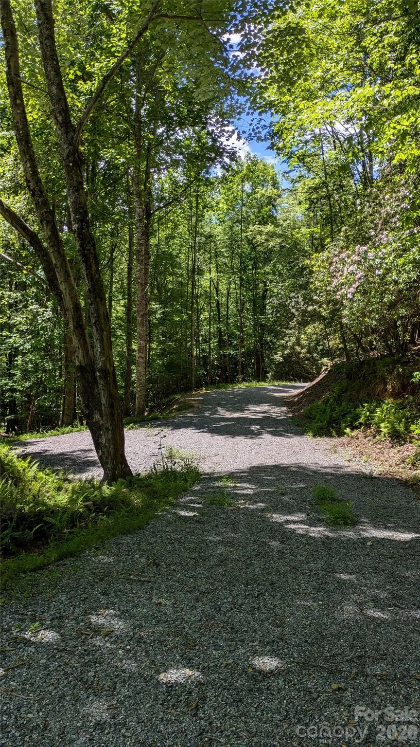 313 Line Runner Ridge Road Rosman, NC 28772