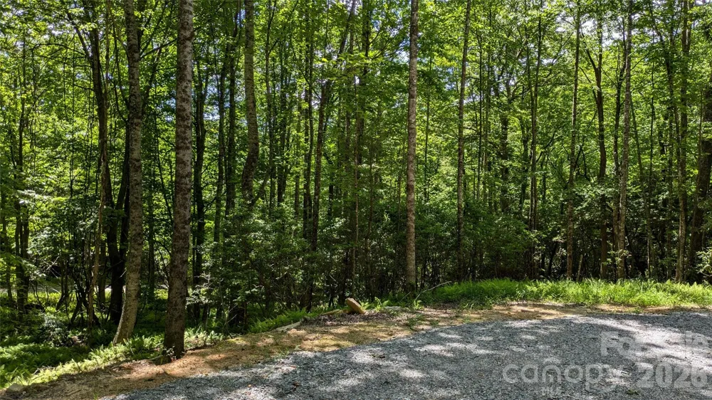 313 Line Runner Ridge Road Rosman, NC 28772