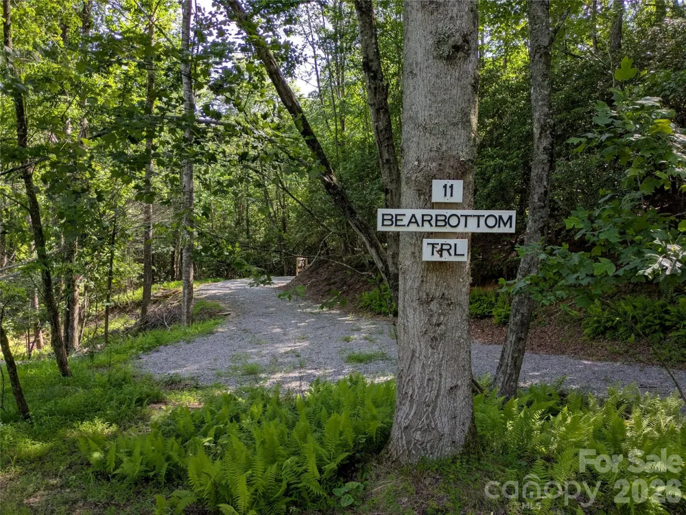 313 Line Runner Ridge Road Rosman, NC 28772