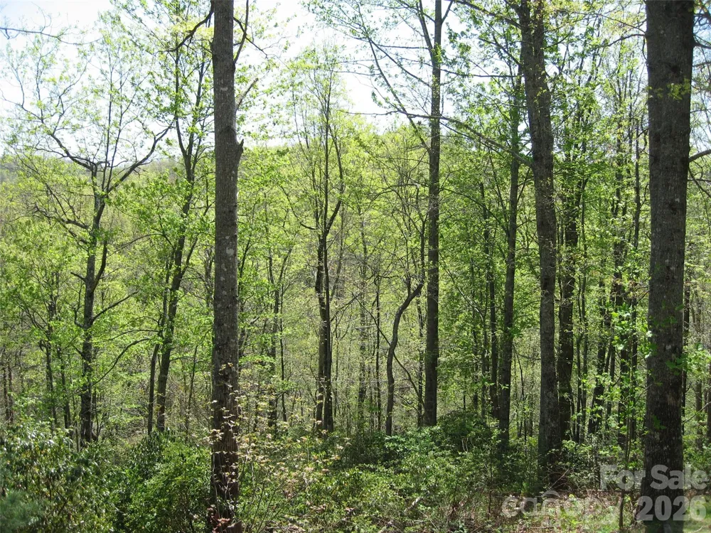 313 Line Runner Ridge Road Rosman, NC 28772