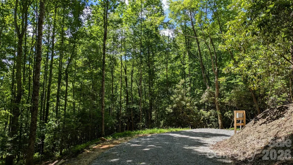 313 Line Runner Ridge Road Rosman, NC 28772