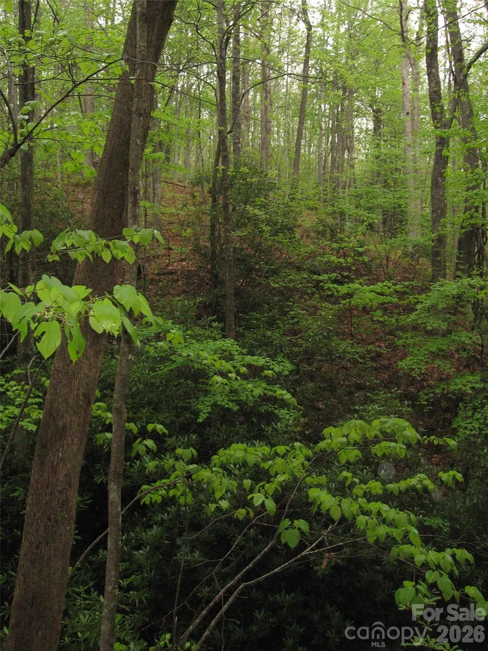 313 Line Runner Ridge Road Rosman, NC 28772