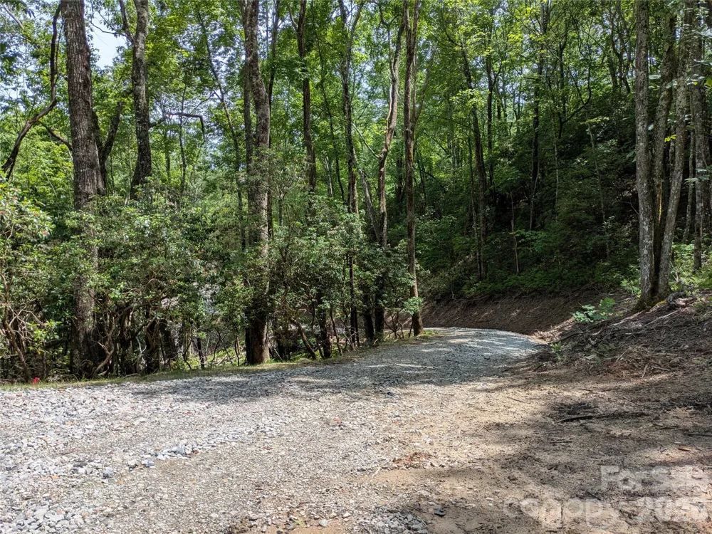 313 Line Runner Ridge Road Rosman, NC 28772