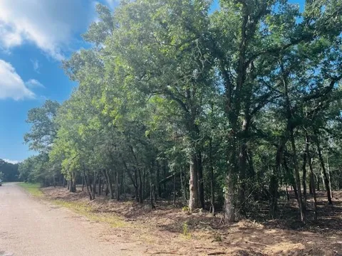 Big Creek Forest Drive