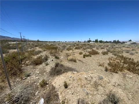 Joshua Tree Road