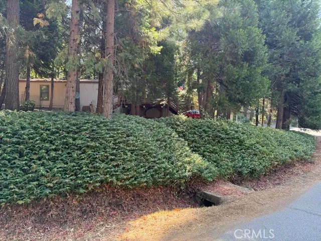 6217 Kilgord Court Magalia, CA 95954