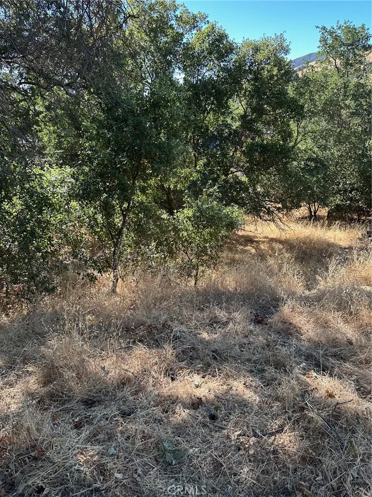 4219 Windsor Way Lucerne, CA 95458