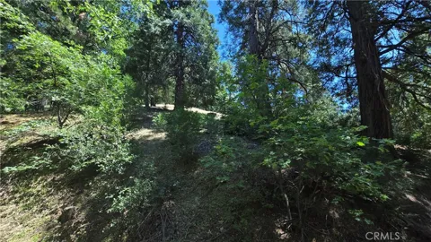 22494 Mojave River Road