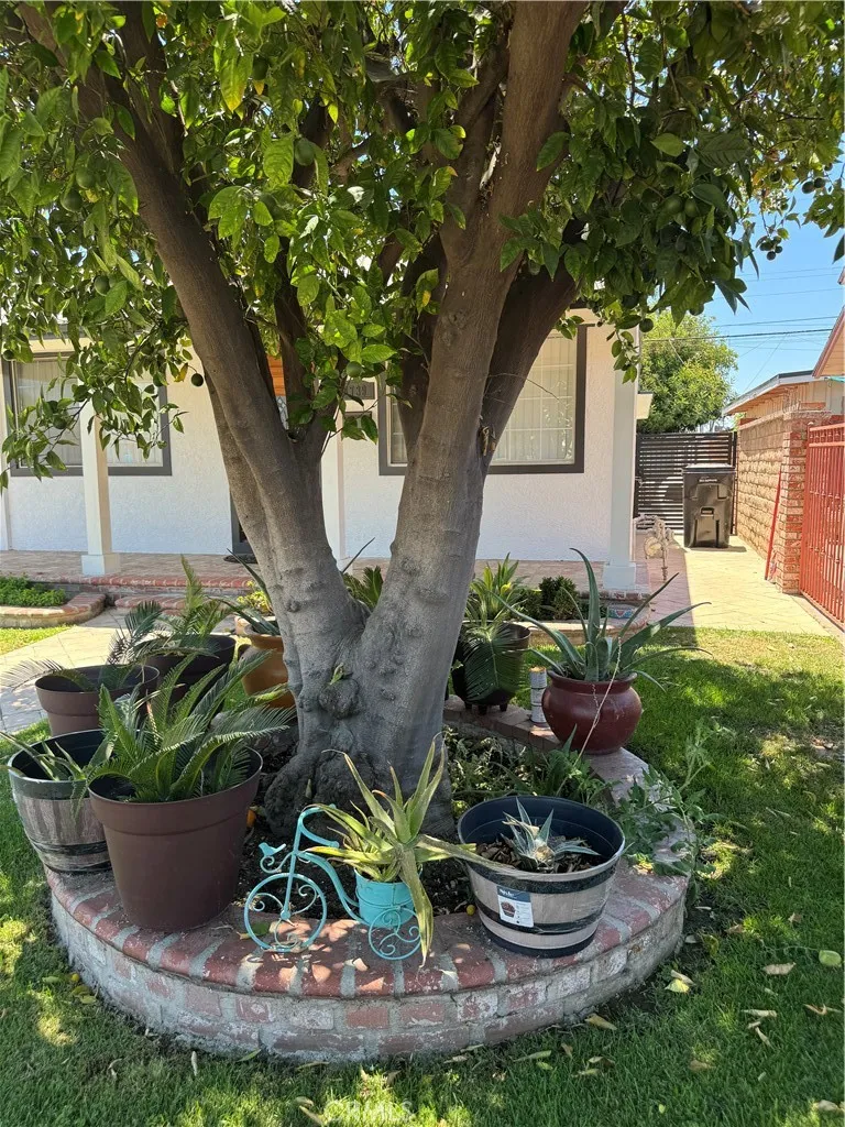 8739 Tyrone Ave Panorama City, CA 91402