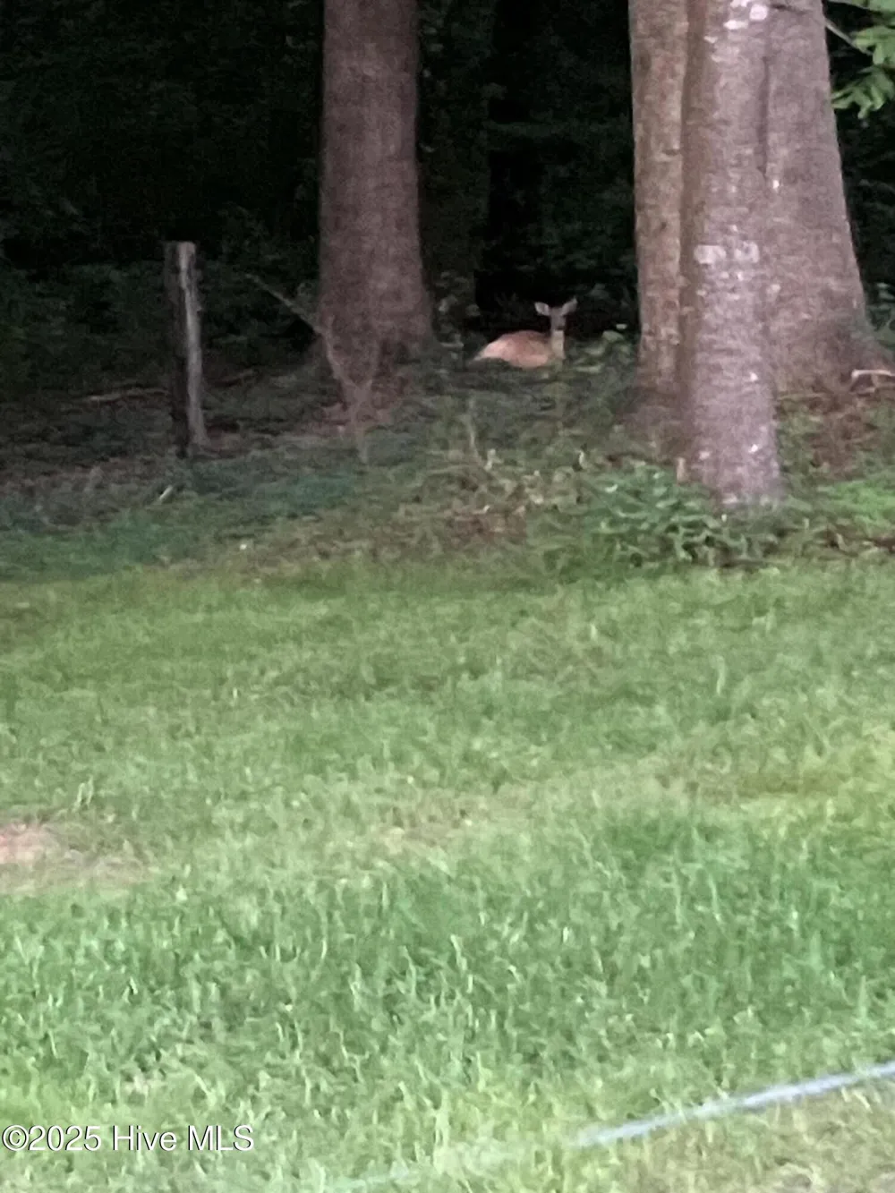 2326 Us-117 Faison, NC 28341