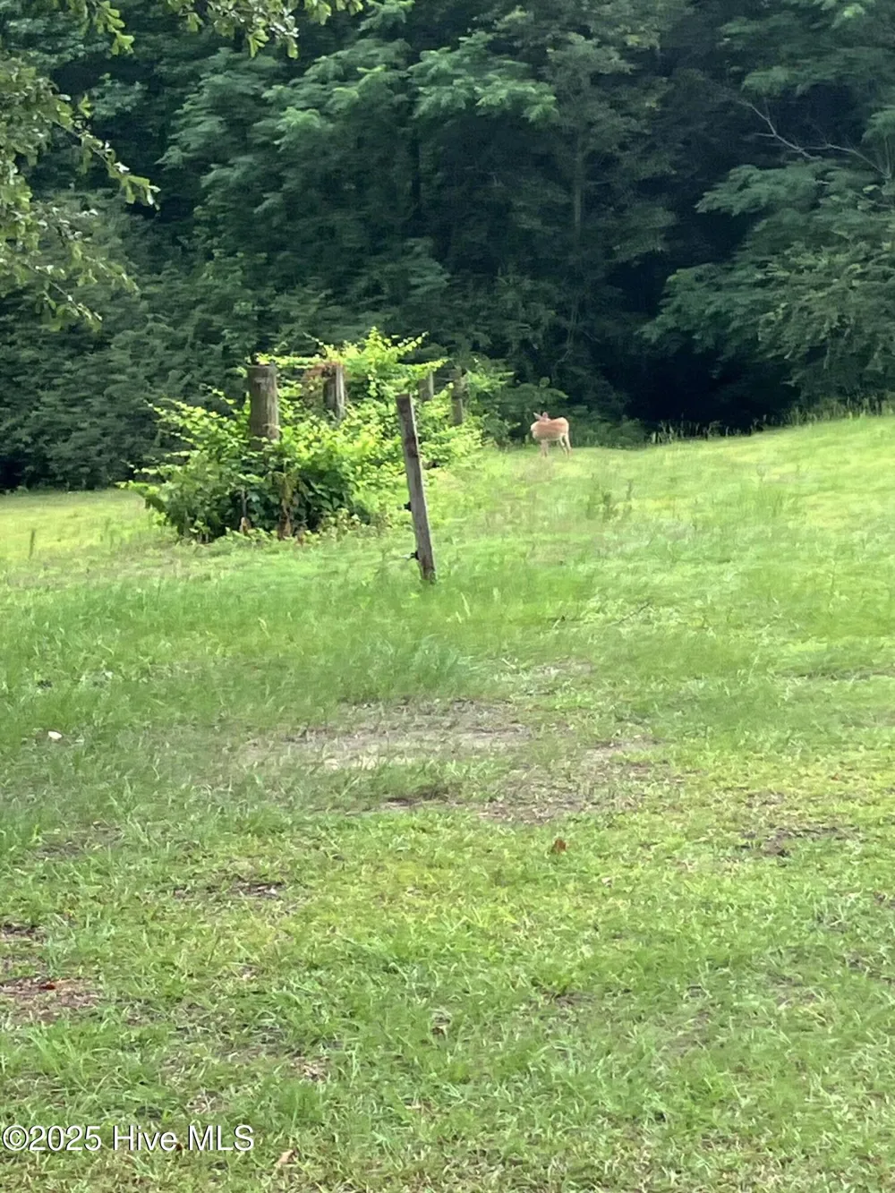 2326 Us-117 Faison, NC 28341