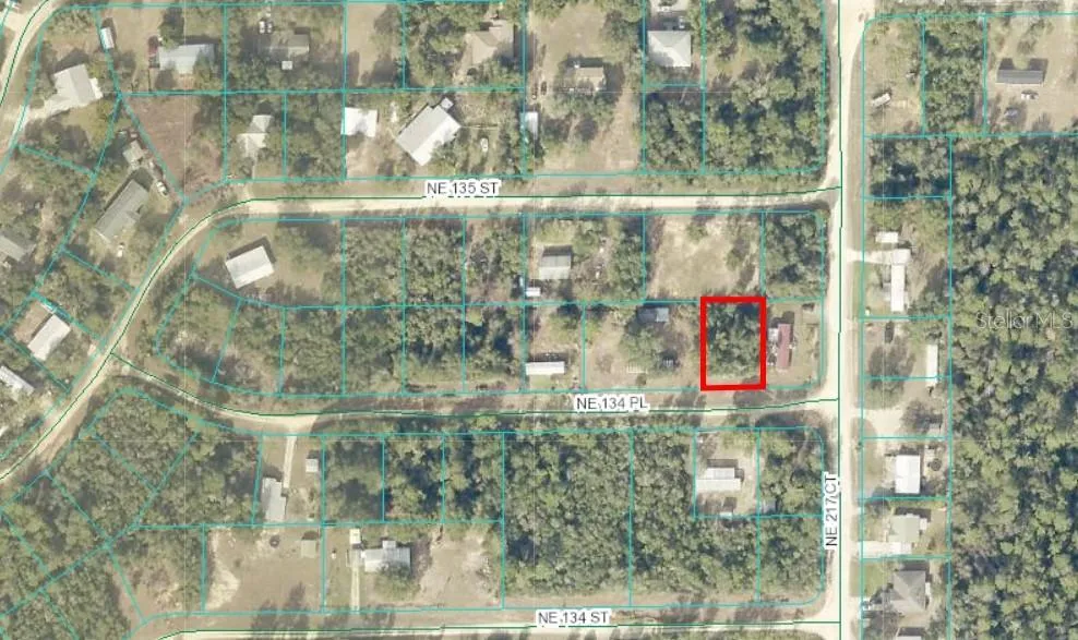 NE 134 PL Salt Springs, FL 32134