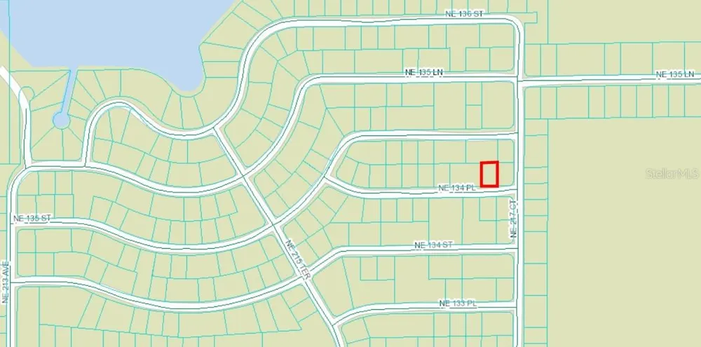 NE 134 PL Salt Springs, FL 32134