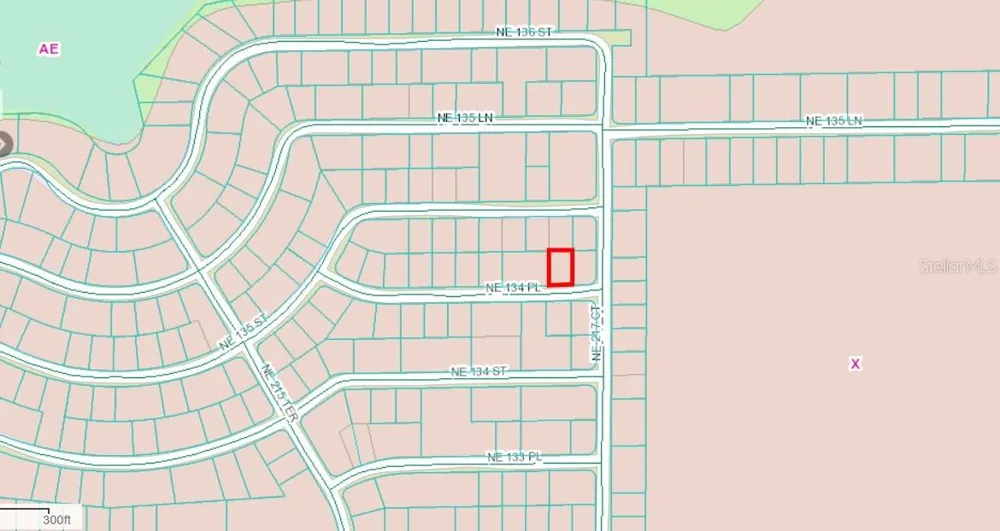 NE 134 PL Salt Springs, FL 32134
