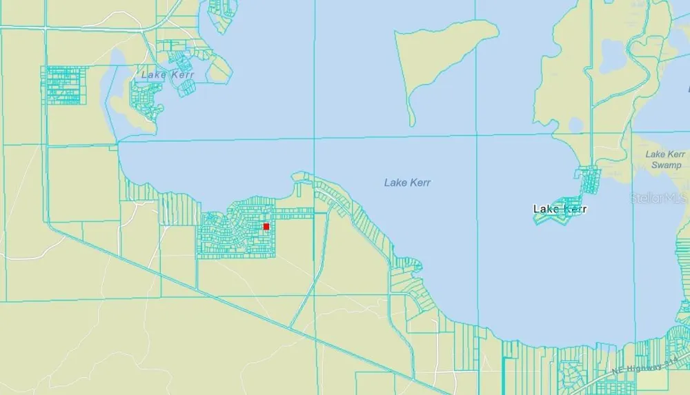 NE 134 PL Salt Springs, FL 32134
