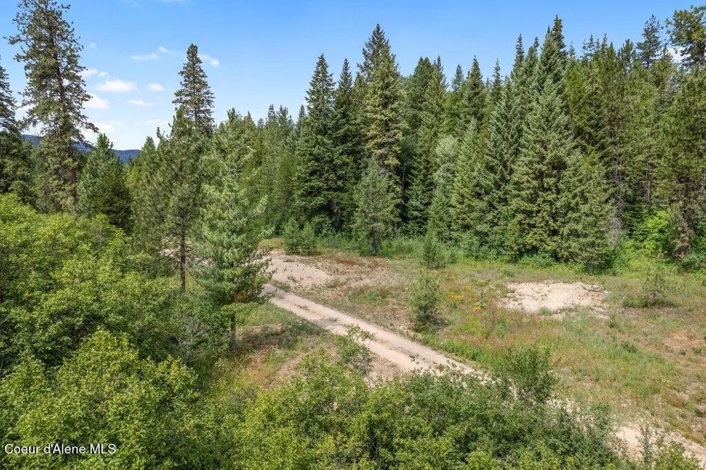 9xx Eastriver Spur Priest River, ID 83856