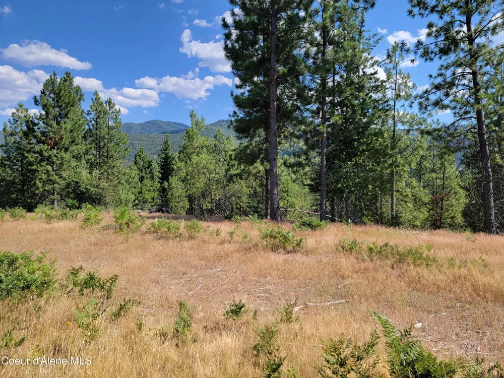 Lot A Blue Star Lane Pinehurst, ID 83850