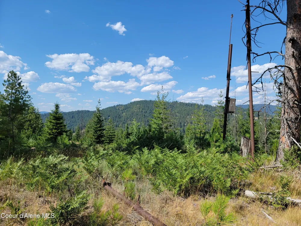 Lot A Blue Star Lane Pinehurst, ID 83850