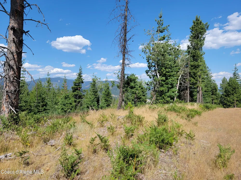 Lot A Blue Star Lane Pinehurst, ID 83850