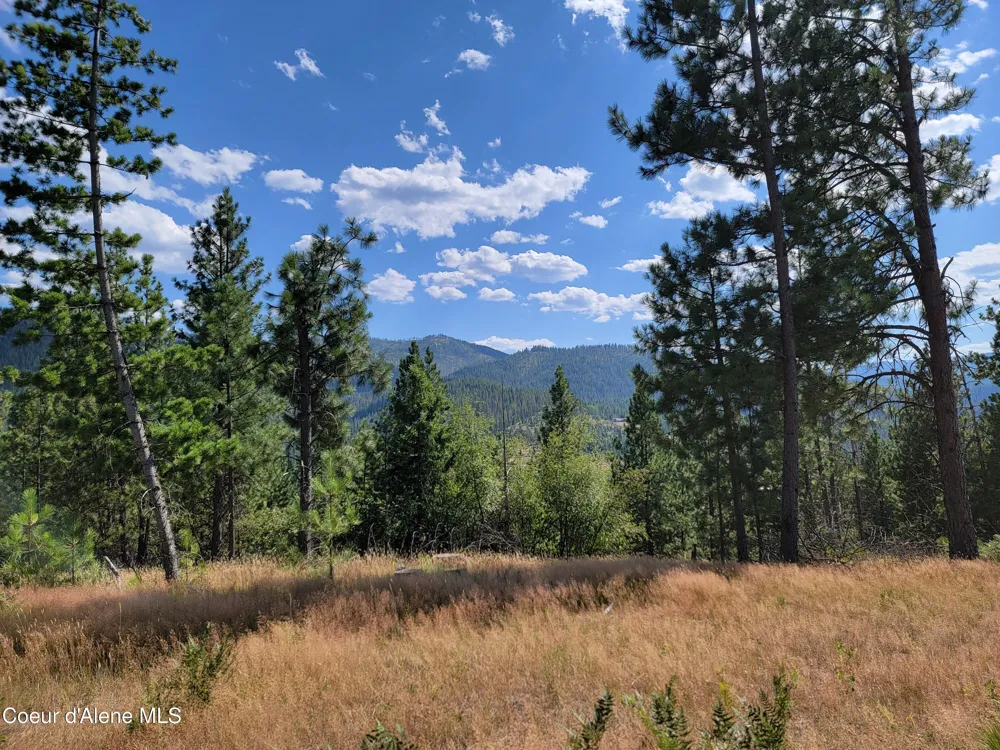 Lot A Blue Star Lane Pinehurst, ID 83850