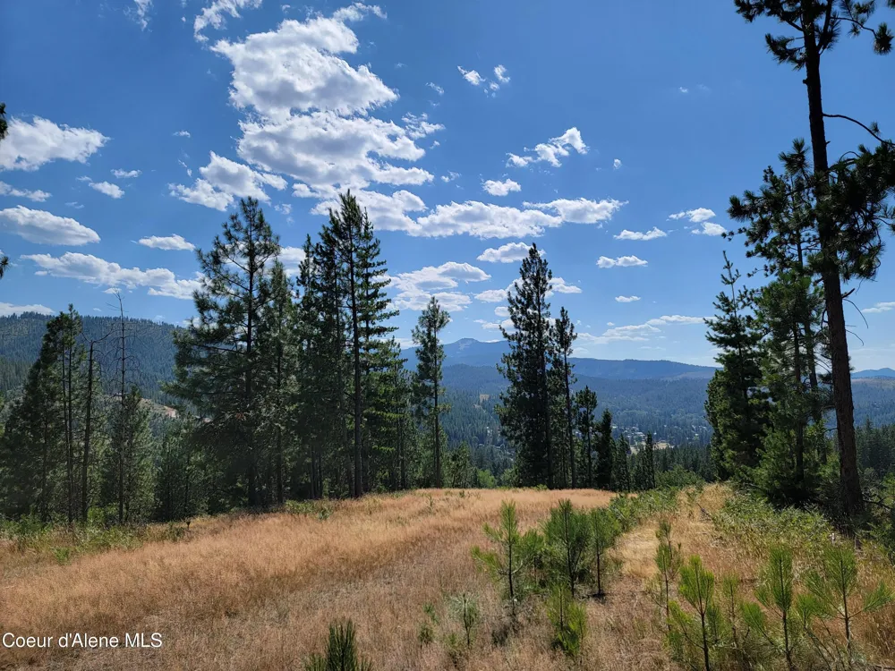 Lot A Blue Star Lane Pinehurst, ID 83850