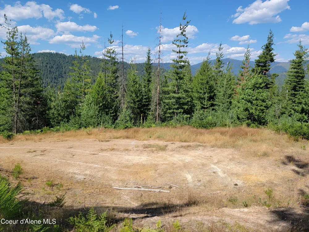 Lot A Blue Star Lane Pinehurst, ID 83850