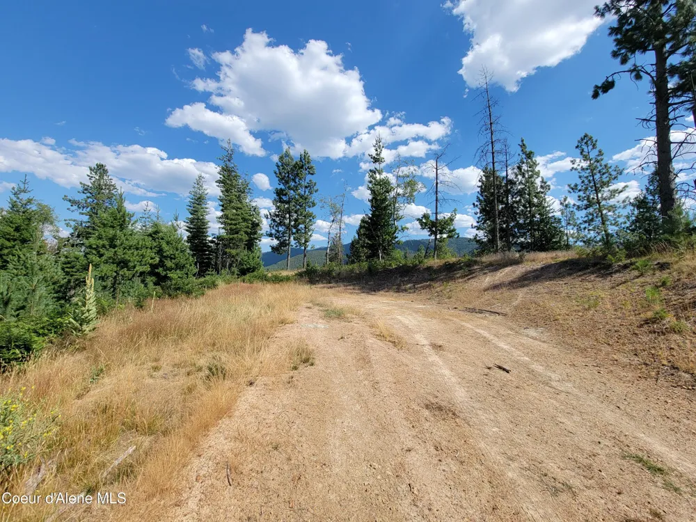 Lot A Blue Star Lane Pinehurst, ID 83850