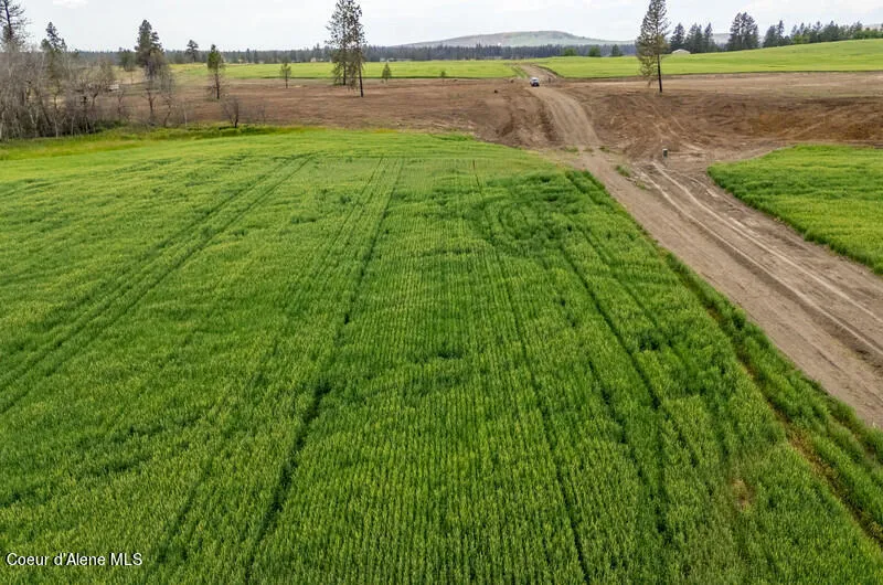 NKA Lambridge Ln Lot 6 Medical Lake, WA 99022