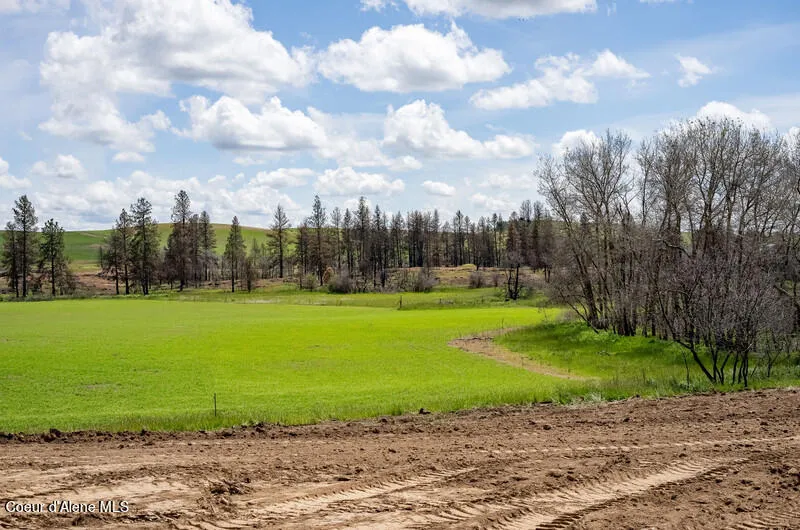 NKA Lambridge Ln Lot 6 Medical Lake, WA 99022