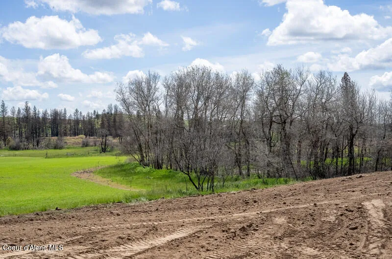 NKA Lambridge Ln Lot 6 Medical Lake, WA 99022
