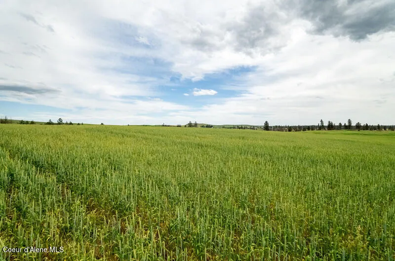 NKA Lambridge Ln Lot 3 Medical Lake, WA 99022