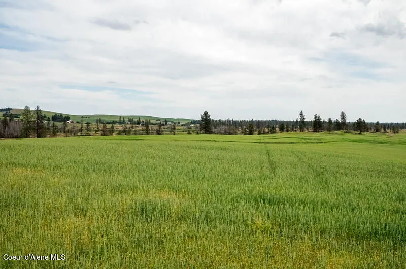 NKA Lambridge Ln Lot 3 Medical Lake, WA 99022